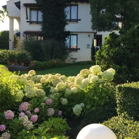 Oasis Лозенец